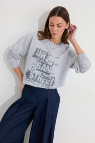 Модель 4309 серый ЛЮШе