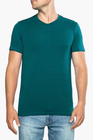 Модель 310-10 emerald 170 DIWARI