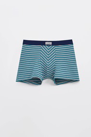 Модель Msh 2956 sea green strip DIWARI