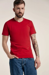 Модель 310-10 dark red 182 DIWARI