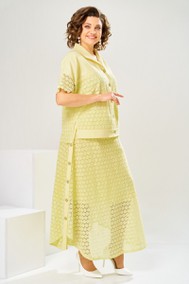 Модель 2-2904 жёлтый Romanovich