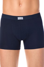 Модель Shorts 700 темно-синий DIWARI